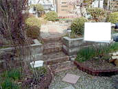 摜_{i_O肷̎tO